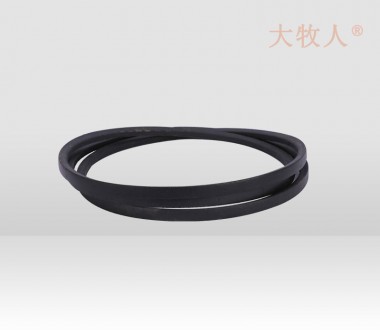 Belt